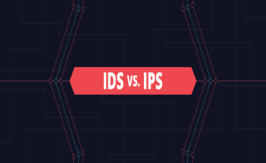 Difference Between IDs and IPs