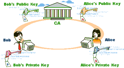 Alice and Bob's public key come from the certificate authority