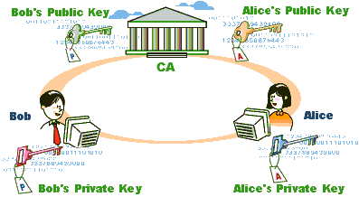 SSL Certificate Authority