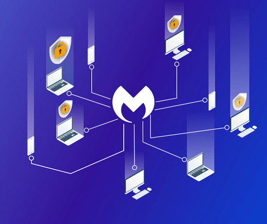 Endpoint Protection Essential for SMB