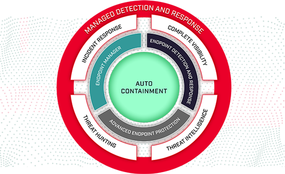 continuous monitoring